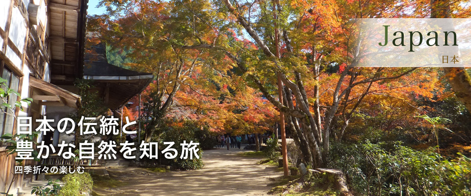 日本の伝統と豊かな自然を知る旅　四季折々を楽しむ
