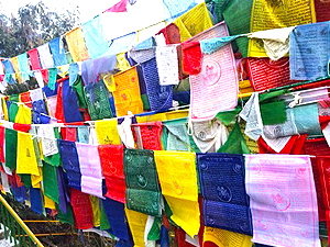チベット文化神
