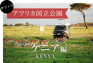 アフリカ国立公園《ケニア》