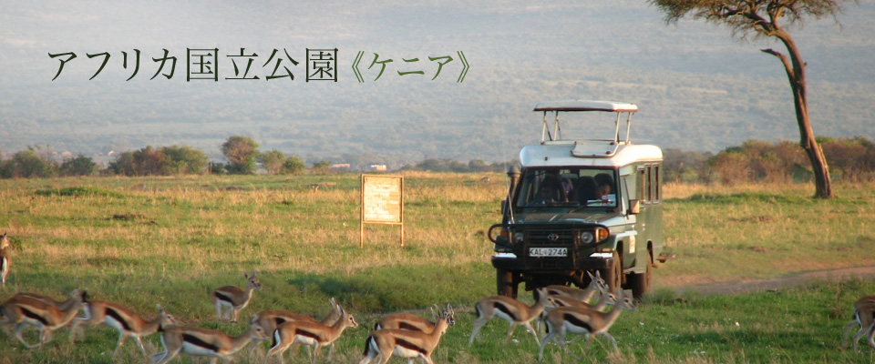 アフリカ国立公園《ケニア》