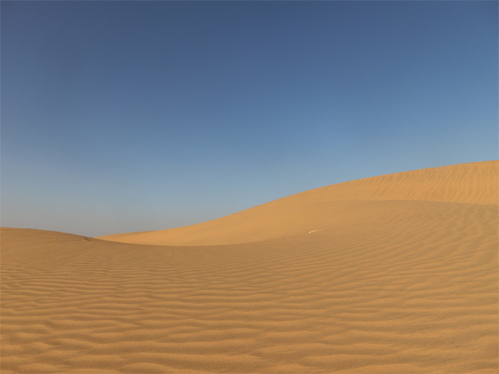 ジャイサルメールの砂漠 