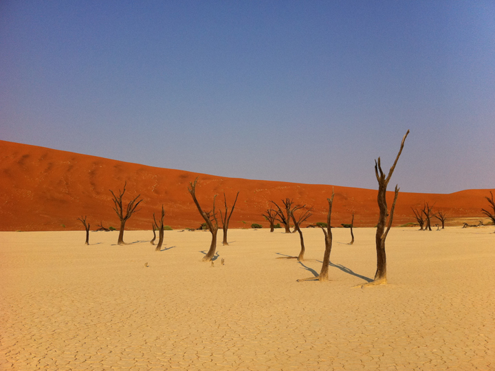 ナミブ砂漠 